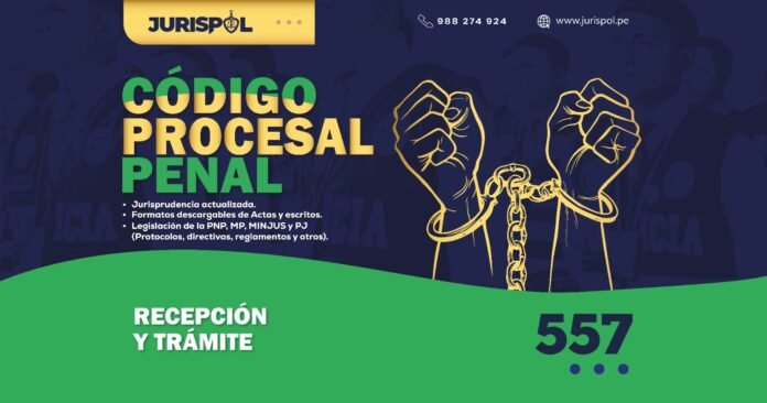 Artículo 557 del Código Procesal Penal Peruano .- Recepción y trámite ...