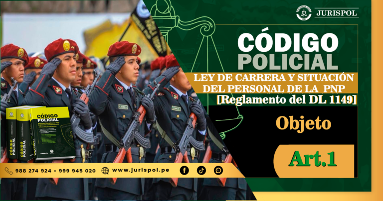 Artículo 1. Objeto.- Reglamento de la Ley de la Carrera del Personal de la PNP [DS 016-2013-IN]