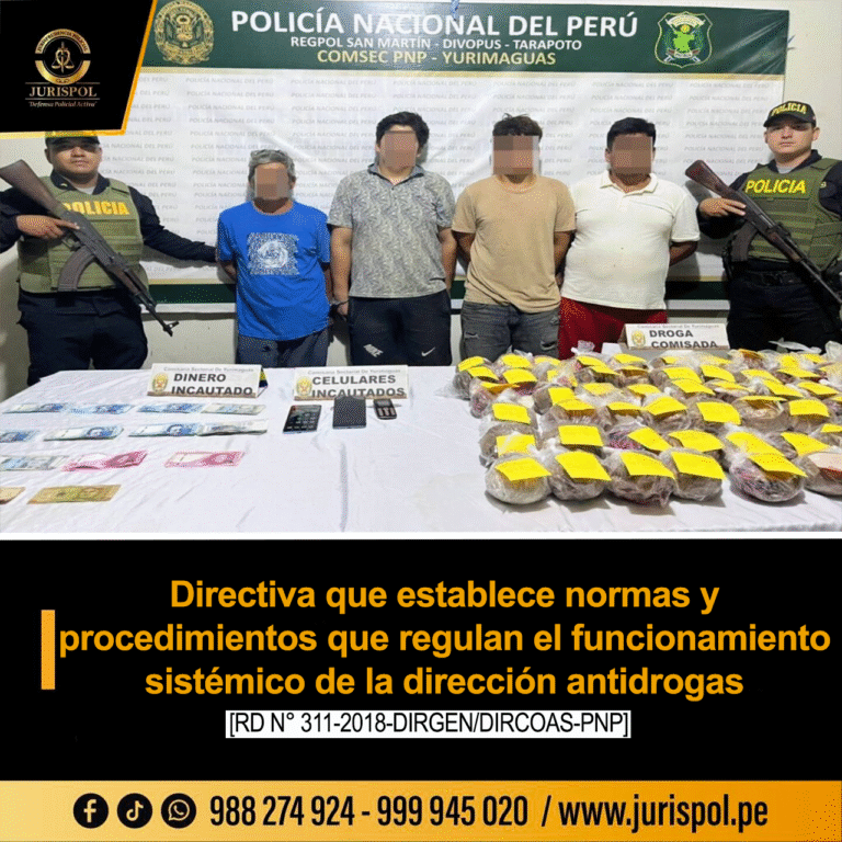 Directiva que establece normas y procedimientos que regulan el funcionamiento sistémico de la dirección antidrogas [Directiva 17-17-2018-DIRGEN-PNP/DIRNIC-DIRANDRO-B]