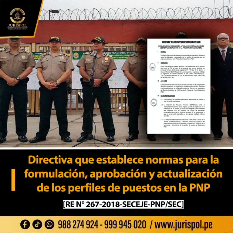 Directiva que establece normas para la formulación, aprobación y actualización de los perfiles de puestos en la PNP [Directiva 01-2018-PNP/SECEJE/DIRREHUM-DIVTAHUM]
