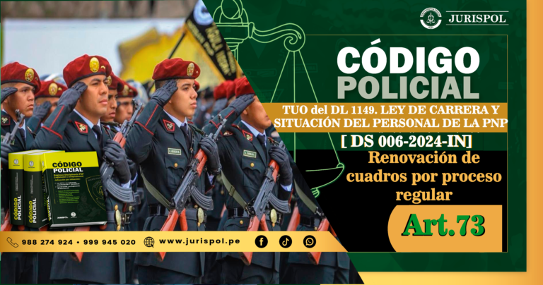 Artículo 73. Renovación de cuadros por proceso regular.- TUO de la Ley de la carrera y situación del Personal PNP [DS 006-2024-IN]