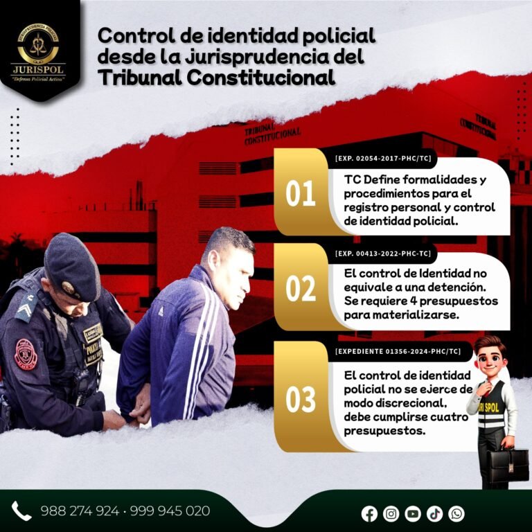 Top 3: Sentencias del TC sobre el adecuado control de identidad Policial