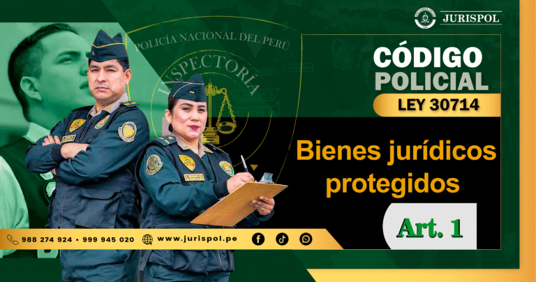 Artículo 1 del Reglamento de la Ley 30714.- Bienes jurídicos protegidos