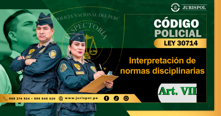Artículo VII del Título Preliminar del Reglamento de la Ley 30714.- Interpretación de normas disciplinarias