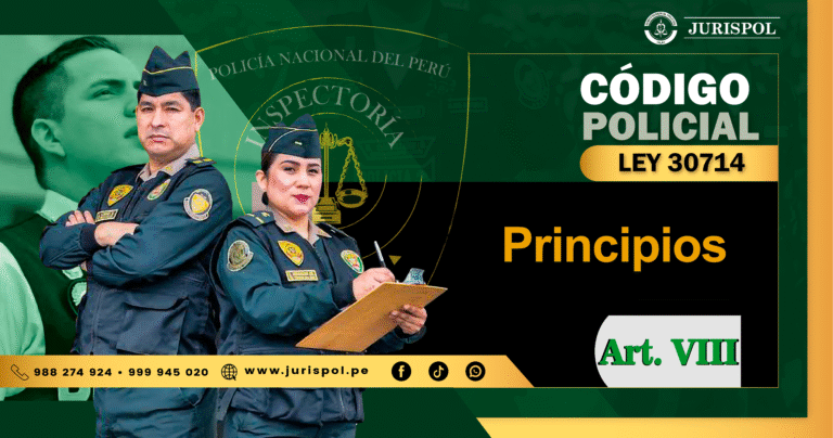 Artículo VIII del Título Preliminar del Reglamento de la Ley 30714.-  Principios