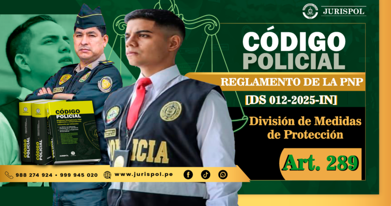 Artículo 289. División de Medidas de Protección.- Reglamento de la Ley de la PNP [DS 012-2025-IN]
