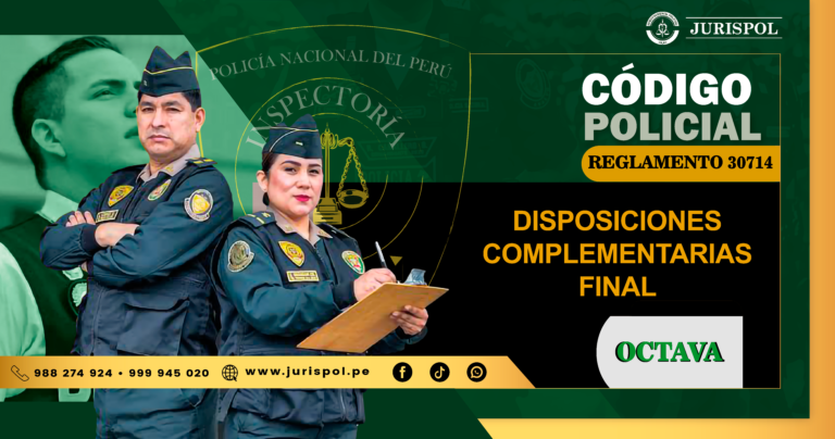 Disposición Complementaria Final – Octava. Referencias disciplinarias