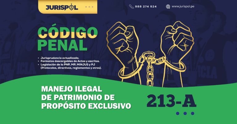 Artículo 213-A del Código Penal Peruano.- Manejo ilegal de patrimonio de propósito exclusivo